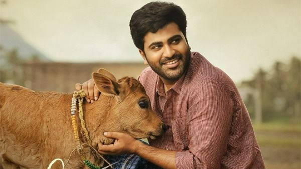 సినిమా కోసం నిజంగానే పంట పండించారట కానీ.. ‘శ్రీకారం’ సీక్రెట్స్ ఇవే!