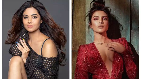 మా అక్క వల్లే నా కెరీర్ నాశనం.. ప్రియాంక చోప్రాపై సోదరి హాట్ కామెంట్.. ఎన్టీఆర్ గురించి..