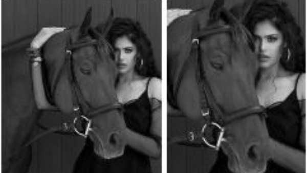 Faria Abdullah Glam Pics: గుర్రం పక్కనే కసిగా చూస్తున్న జాతిరత్నాలు చిట్టి.. సెక్సీ లుక్స్ అంటే ఇలా ఉండాలి!