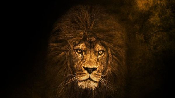 Balakrishna - గోపీచంద్ మూవీ ప్రకటన.. వేట అప్పటి నుంచే మొదలు