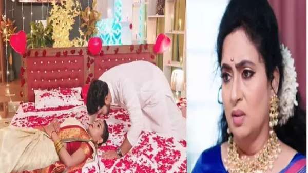 Vadinamma Serial July 31 Episode: దమయంతి దెబ్బకి మైండ్ బ్లాంక్.. హార్ట్ ఎటాక్ ప్లాన్ తో శోభనం మటాష్!