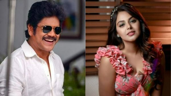 మోనాల్ గజ్జర్‌కు కింగ్ నాగార్జున బంపర్ ఆఫర్.. అంతా బిగ్‌బాస్ మాయ!