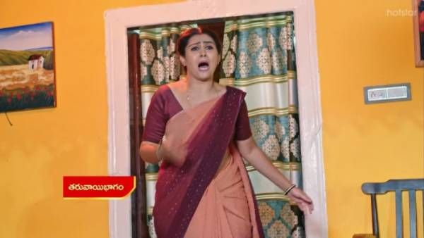 Vadinamma Serial August 18th Episode: కొంపముంచిన ఐస్ క్రీమ్ చావుబతుకుల్లో వైదేహి.. కానీ పార్వతి?