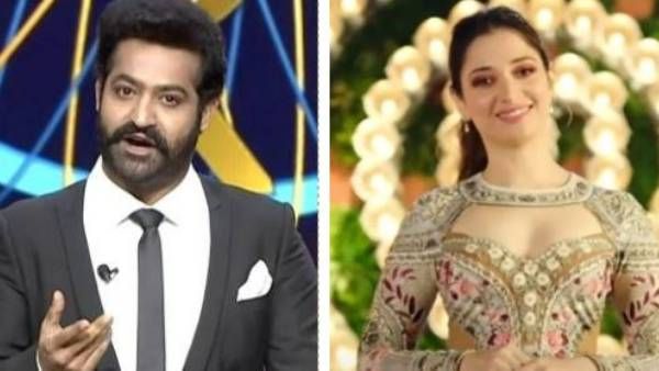 NTR Vs Tamannaah: ఎవరు మీలో కోటీశ్వరులు, మాస్టర్ చెఫ్ నువ్వా? నేనా?.. జబర్దస్త్‌కు షాక్