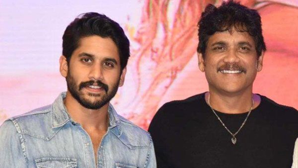 Bangarraju: బిగ్ బాస్ మొదలైన వెంటనే ఆ రాష్ట్రానికి నాగార్జున.. నాగ చైతన్యతో కలిసి సందడి