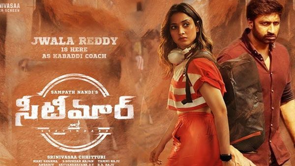 గోపిచంద్ సీటిమార్ బాక్సాఫీస్ టార్గెట్.. అందుకోవడం సులువే కానీ..?