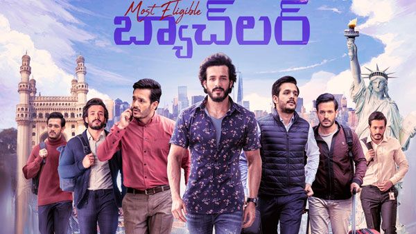 Most Eligible Bachelor Collections: ఆ మార్కును చేరుకుని అఖిల్ రికార్డు.. 12 రోజుల్లోనే అన్ని కోట్లు