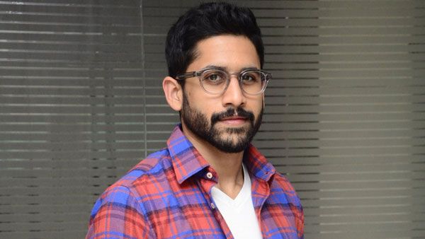 అన్ని మర్చిపోయి మల్టీస్టారర్ కథపై ఫోకస్ పెట్టిన నాగచైతన్య.. సమంతకి బిగ్ హిట్ ఇచ్చిన హీరోతో స్పెషల్ మూవీ?