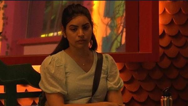 Bigg Boss: మానస్‌ను కాదని మరొకరితో పింకీ సరసాలు.. పెళ్లి చేసుకోకున్నా అతడితో సెటిలైపోతా అంటూ!
