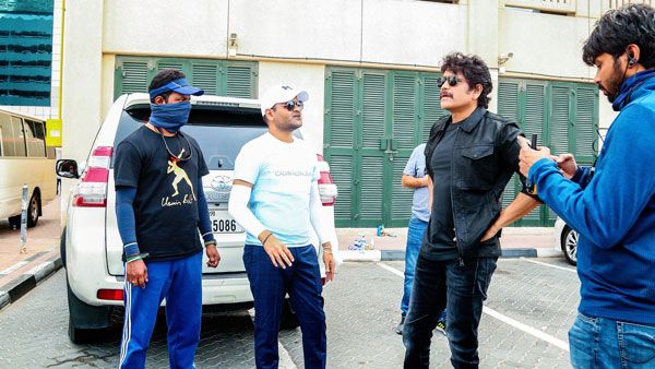 Ghost: దుబాయ్‌లో ఆ హీరోయిన్‌తో నాగార్జున చిల్.. ఇంటర్నెట్‌లో ఫొటోలు వైరల్