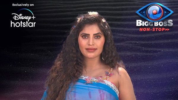 Bigg Boss NonStop : ఆమె నా చేయి విరగ్గొట్టింది.. ఇప్పుడు అలా అంటోంది.. ఏడ్చేసిన శ్రీ రాపాక