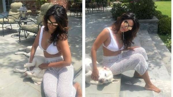 జాకెట్ తీసేసి బ్రాలో రెచ్చిపోయిన మల్లికా షెరావత్.. లేటు వయసులో ఘాటుగా అందాల ఘుమఘుమలు