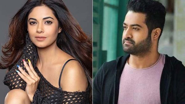 Jr NTR పై మరోసారి మీరా చోప్రా దారుణంగా.. భారీగా ట్రోల్ చేసిన యంగ్ టైగర్ ఫ్యాన్స్