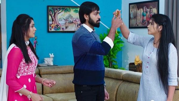 Karthika Deepam weekly roundup నిరుపమ్‌‌తో పెళ్లికి ముందు హిమ మరో లవ్ ట్రాక్? కార్తీకదీపంలో మరో ట్విస్టు!