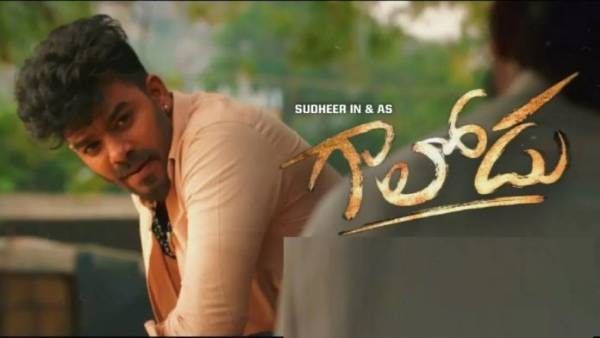 Gaalodu Collections: సుధీర్ మాస్ బ్యాటింగ్.. 2 వారాల్లో సంచలన వసూళ్లు.. లాభం ఎన్ని కోట్లో తెలిస్తే!