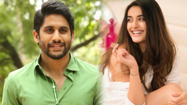 Divyansha Kaushik: ఐ లవ్ నాగ చైతన్య, అతనంటే క్రష్.. చైతూతో పెళ్లిపై 'మజిలీ' భామ క్లారిటీ !