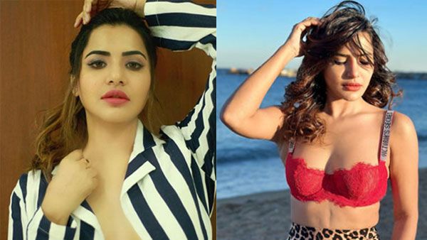 నీకు బాగా పెరిగిందని అషు రెడ్డికి నెటిజన్ షాక్: అవును అంటూ ఏకంగా అది చూపించిన బ్యూటీ