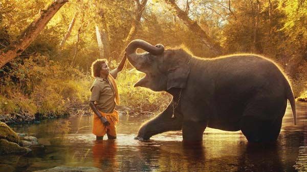 Oscars 2023 ఆస్కార్‌ల్లో సత్తా చాటిన భారత్.. తొలి అవార్డు ఏ చిత్రానికంటే?