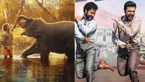 Oscars 2023 Movies OTT: ఆస్కార్ కొల్లగొట్టిన చిత్రాలు.. ఈ ఓటీటీల్లో ఫ్రీగా చూసేయండి!