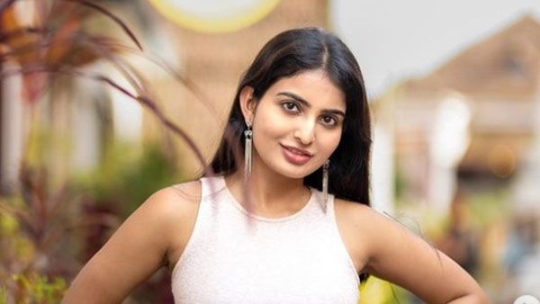 నిన్ను పబ్లిక్‌లో కొట్టింది నేనే.. నెటిజన్‌కు అనన్య నాగళ్ల ఊహించని సమాధానం!