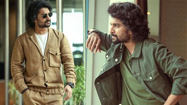 Nani 30: నాని మూవీకి ఊహించని టైటిల్.. స్టోరీలైన్ ఏంటో తెలిస్తే!