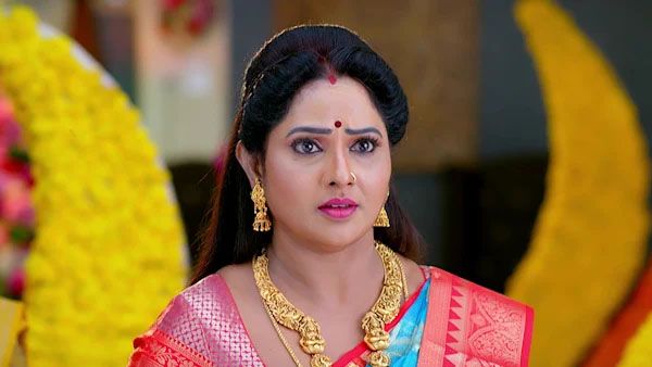 Brahmamudi: సగం మంది హీరోలు నా కొడుకులే.. 'బ్రహ్మముడి' అపర్ణ షాకింగ్ కామెంట్స్