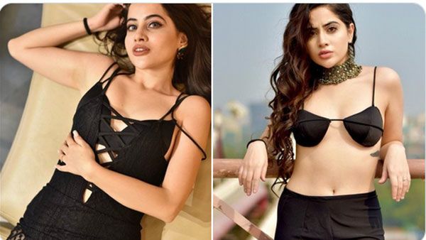 బట్టలు లేకుండా బిగ్ బాస్ బ్యూటి ఉర్ఫీ ఫ్రీ షో.. గులాబీ రేకులతో న్యూడ్ పోజు