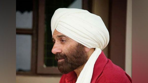 Gadar 2 Collections బాక్సాఫీస్ చరిత్ర సృష్టించిన గదర్ 2.. కోట్ల రూపాయల కుంభవృష్టి.. ఎన్ని కోట్ల లాభమంటే?