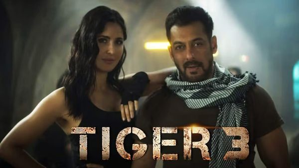 Tiger 3 Movie 10 Days Collections: 300 కోట్ల సినిమాకు బిగ్ షాక్.. 10వ రోజే ఇలాంటి వసూళ్లా?