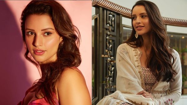 Tripti Dimri Remuneration: రష్మిక మందన్నకు 4 కోట్ల రెమ్యునరేషన్.. కానీ తృప్తి దిమ్రికి ఎంత ఇచ్చారో తెలుసా?