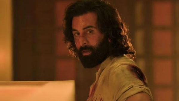 Animal Collections: ఇండియాలో రెండో సినిమాగా యానిమల్ రికార్డు.. బాలీవుడ్ బెండు తీసిన తెలుగు డైరెక్టర్