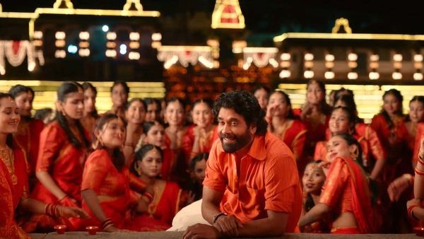 Naa Saami Ranga 7 Days Collections: 19 కోట్లు రావాలి.. వారంలో ఊహించని విధంగా.. మూవీ హిట్టేనా అంటే!