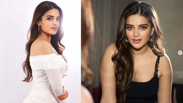 Nidhi Agerwal: 30 ఏళ్ల వయసులో అందాల 