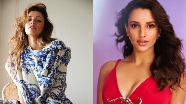 ఓటీటీలో త్రిప్తి డిమ్రీ అడల్డ్ మూవీ.. ఎప్పుడు? ఎక్కడ రిలీజ్ అంటే?