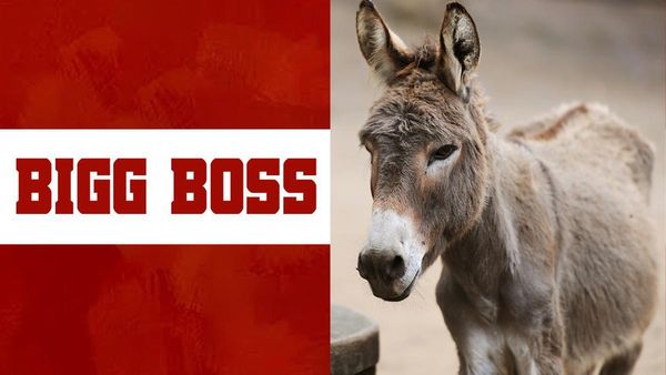 బిగ్‌బాస్‌లో గాడిద..కంటెస్టెంట్లకు అలాంటి పెంట.. ఆ తలనొప్పితో!