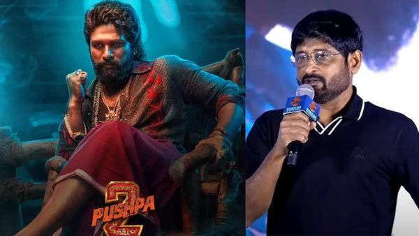 Pushpa 3: అల్లు అర్జున్ పుష్ప 3 పై నిర్మాత కీలక ప్రకటన.. సీక్వెల్ ఉన్నట్టేనా..?