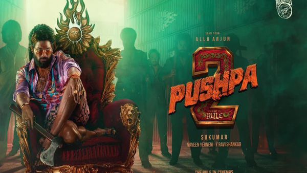 బిగ్‌స్క్రీన్‌పై పుష్ప 2 బ్లాక్‌బస్టర్.. బుల్లితెరపై డిజాస్టర్.. రేటింగ్ ఎంత వచ్చిందో తెలుసా?