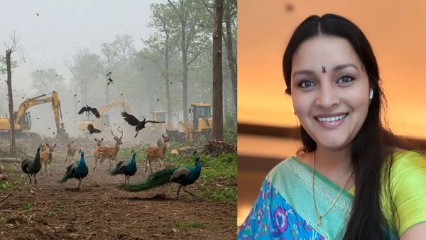 HCU Controversy: సెంట్రల్ వర్సిటీ అడవుల నరికివేతపై ఘాటుగా రేణుదేశాయ్.. ఎన్టీఆర్ వీడియోతో నిరసన