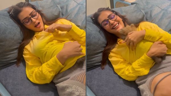 కుక్క పిల్లతో పాయల్ పాడుపనులు.. షర్ట్‌ లోపలికి పంపి, ఏకీపారేస్తోన్న నెటిజన్లు