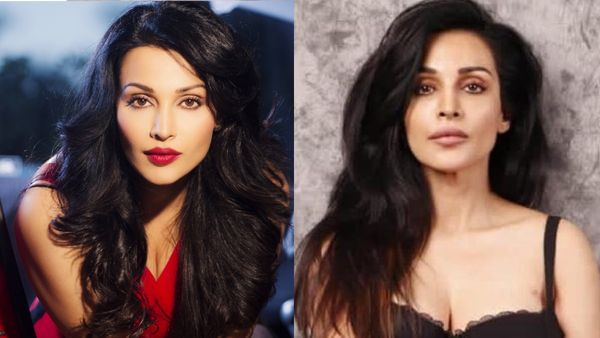 ‘ఆ ప్రొడ్యూసర్ నా జీవితాన్ని నాశనం చేశాడు’.. బిగ్ బాస్ 9 ఆశా షైనీ ఆవేదన