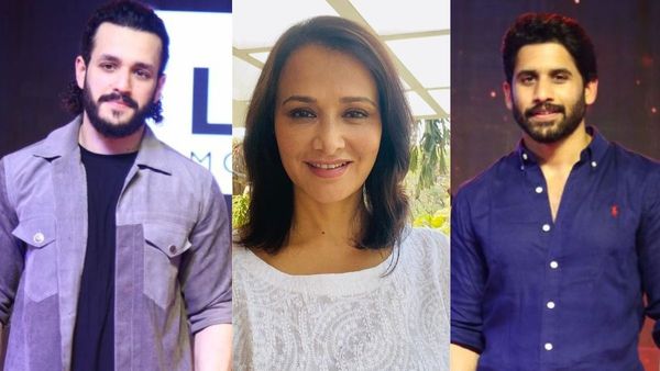 నాగ చైతన్య, అఖిల్ మధ్య తేడా అదే.. అక్కినేని అమల షాకింగ్ కామెంట్స్ ..