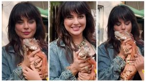 Sara Arfeen Khan ने गोद में उठाया विशाल इगुआना, फिर किया Kiss… वायरल वीडियो ने उड़ाए होश!