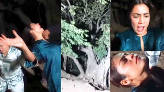 मलिक परिवार के साथ हुआ भूतिया हादसा, साया देख बेहोश हुईं कृतिका मलिक, वायरल हो रहा वीडियो...