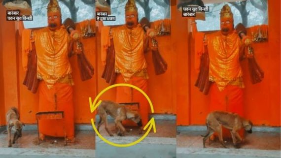 आस्था का अद्भुत नजारा! 48 घंटों से हनुमान जी की परिक्रमा करता दिखा कुत्ता, ऐसी भक्ति देख रो पड़े लोग