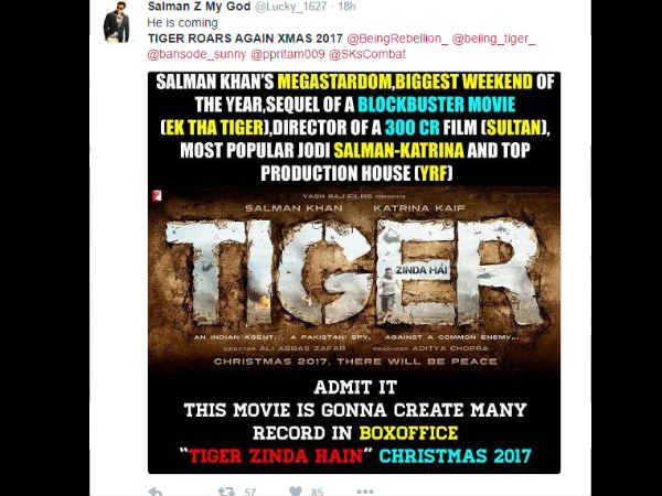  Tiger Zinda hai