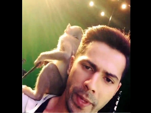 Varun Dhawan
