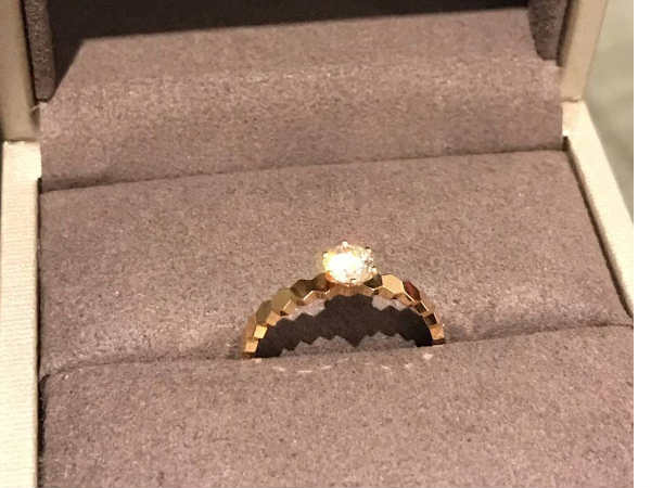 who is model sofia hayat