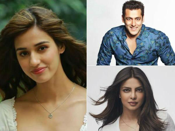 disha patani, salman khan, bharat, दिशा पटानी, सलमान खान, भारत