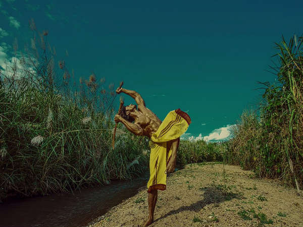 vidyut jamwal, junglee, विद्युत जामवाल, जंगली