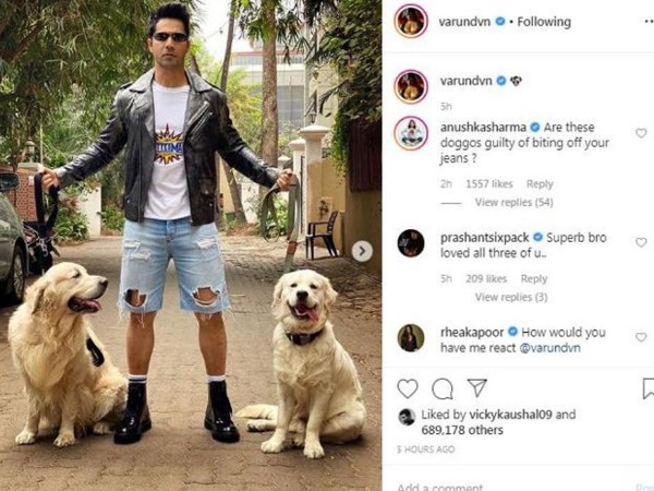  Varun Dhawan poses with dogs